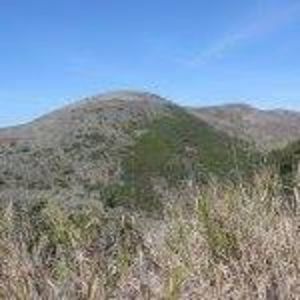 Meet your Posher, Sean